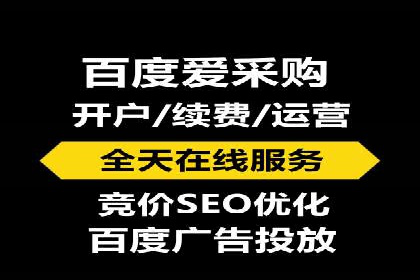 百度竞价代运营公司成功案例分析